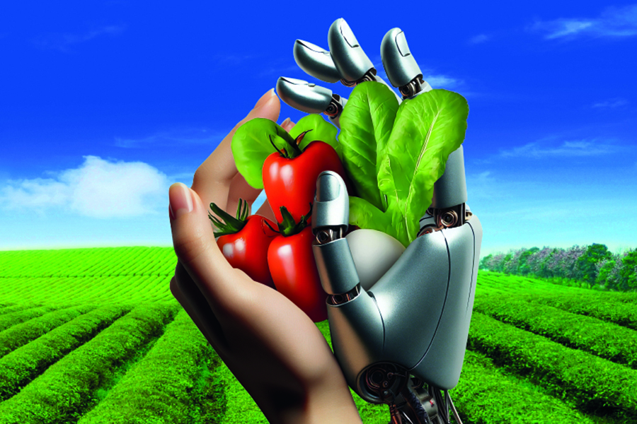 AgriFood Future 2024: Salerno si candida a capitale dell’innovazione agroalimentare